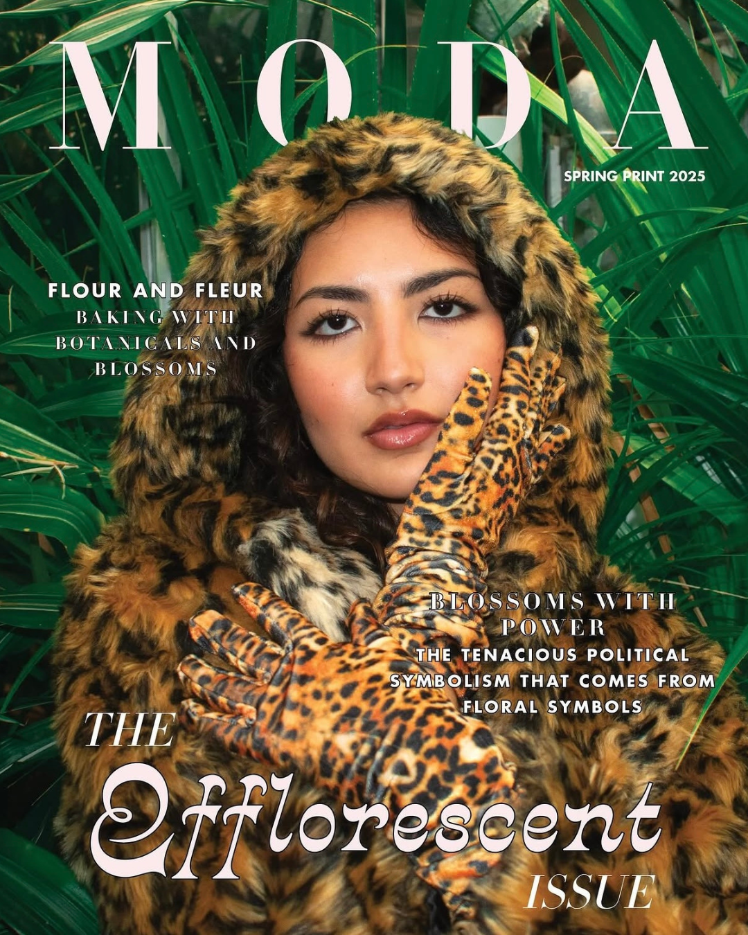 MODA Spring Print 2025